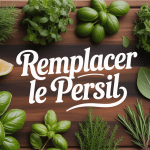 vue d'herbes fraîches pour par quoi remplacer le persil