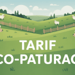 éco-pâturage tarif moutons prairie vallonnée