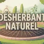 illustration désherbant naturel jardin racines en coupe
