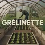 Grelinette utilisée dans un sol riche en vers de terre