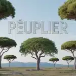 Illustration vectorielle de peupliers en paysage naturel