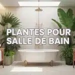 illustration plantes pour salle de bain avec baignoire et fougères