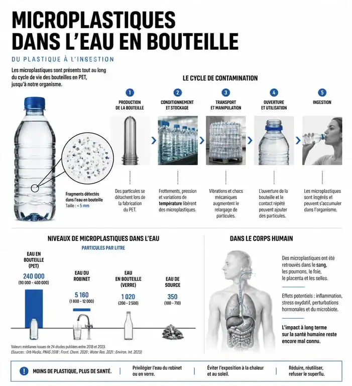 Infographie sur la contamination par les microplastiques dans l'eau en bouteille et les risques pour la santé