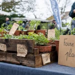 Foire aux plantes ce dimanche : stands et plants en vente